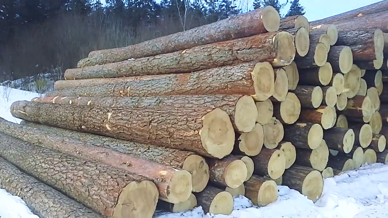 Деревянный дом из зимнего леса